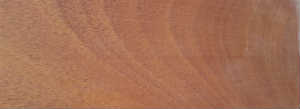Grain — Acajou africain