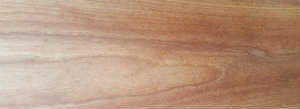Grain — Cerisier américain