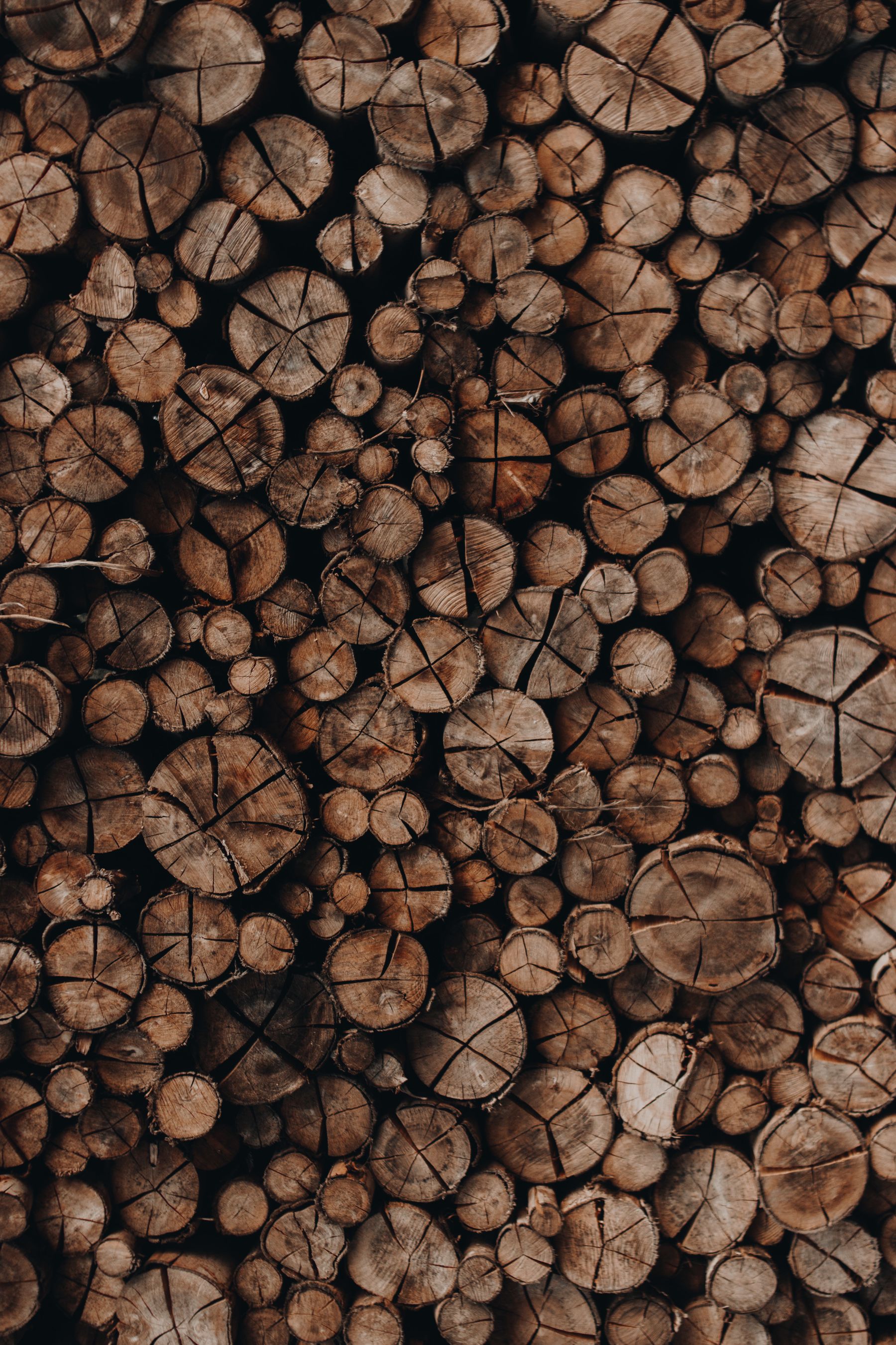 Billots de bois empilés, prêts à être sciés à la scierie Boisverco